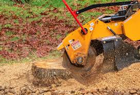 Best Tree Mulching Services  in Mapleton, UT